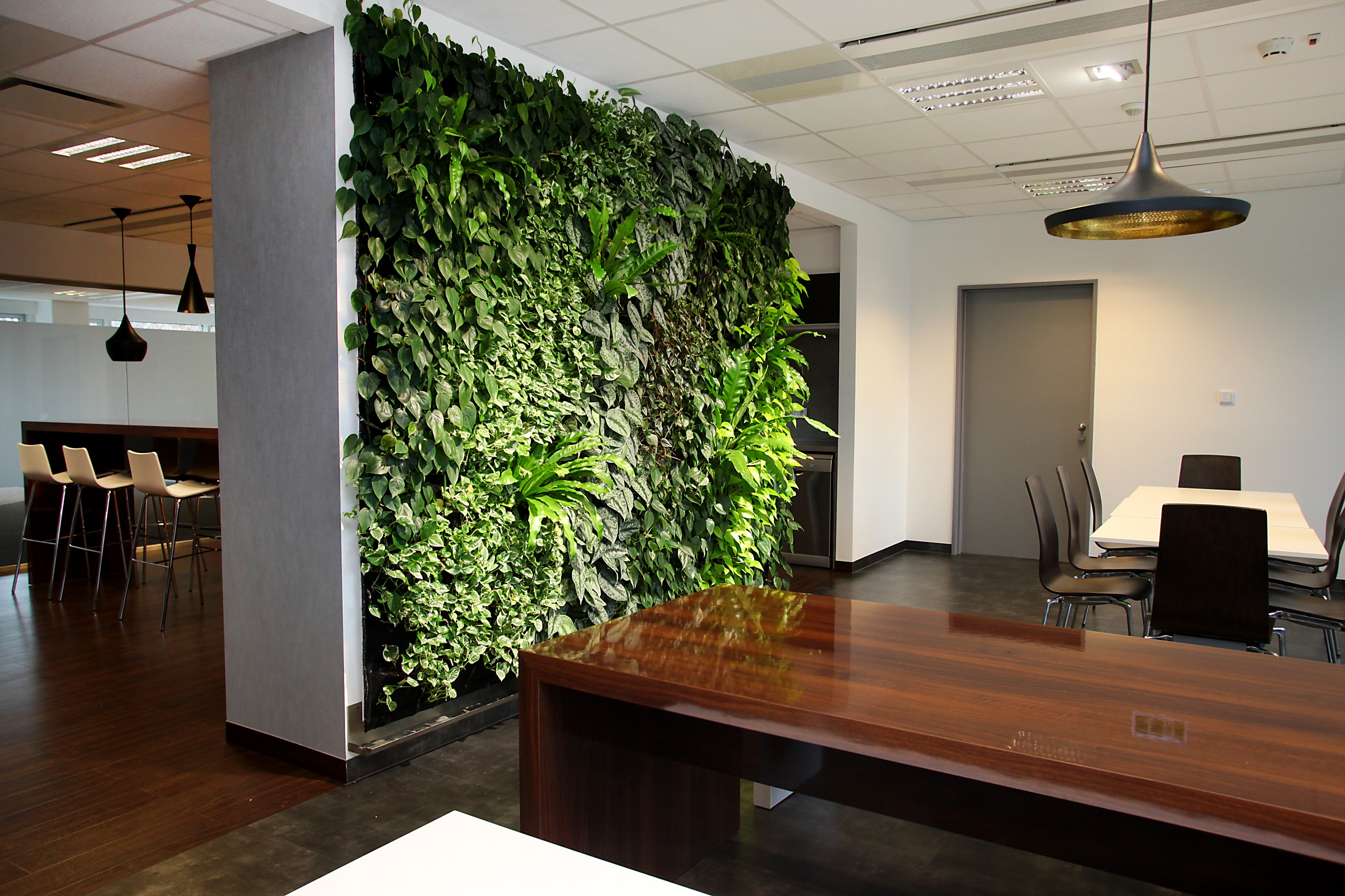 Green Fortune - Avis Office